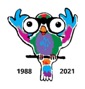 birdrace